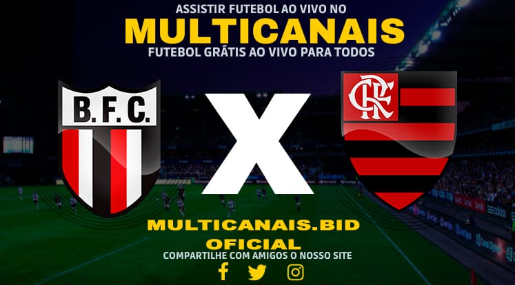 Assistir Botafogo-SP x Flamengo Ao Vivo Online HD 17/01/2024