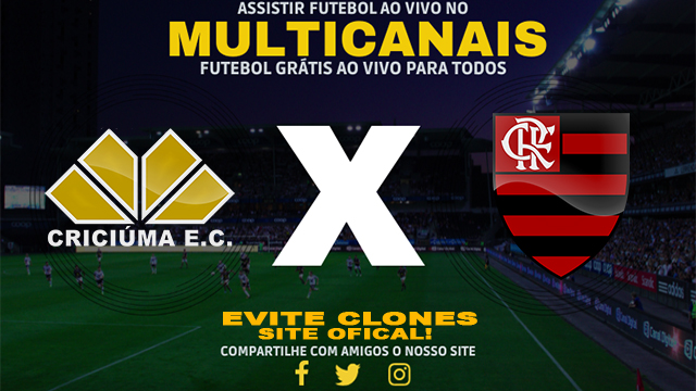 Assistir Criciúma x Flamengo AO VIVO Online 04/12/2024